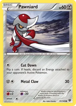 XY