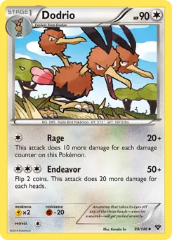 XY