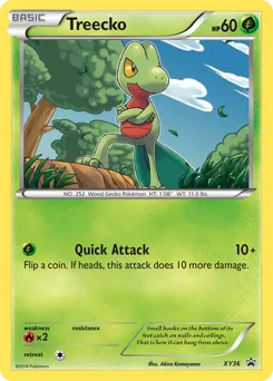 XY Black Star Promos