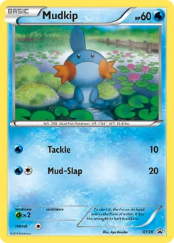 XY Black Star Promos