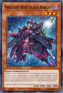 Twilight Rose Black Knight