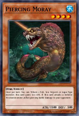 Piercing Moray