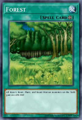 Forest