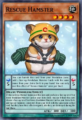 Rescue Hamster
