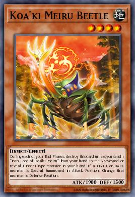 Koa'ki Meiru Beetle