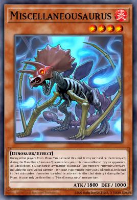 Winner's Pack 2026-2027
